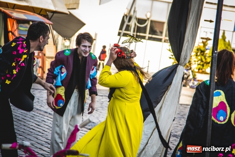 Zdjęcie w galerii na portalu naszraciborz.pl: Artyści wyszli w plener, czyli Bajczarz na raciborskim Rynku wiadomości z regionu