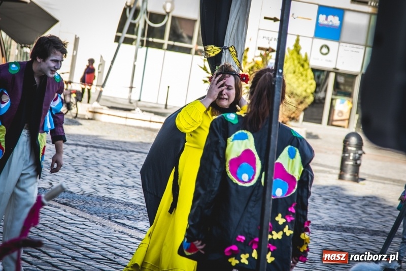 Zdjęcie w galerii na portalu naszraciborz.pl: Artyści wyszli w plener, czyli Bajczarz na raciborskim Rynku wiadomości z regionu