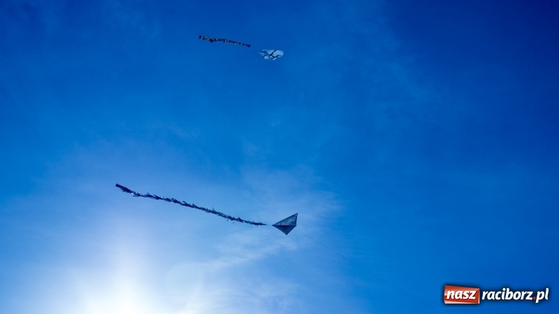 Zdjęcie w galerii na portalu naszraciborz.pl: Pogoda idealna, frekwencja fatalna  wiadomości z regionu