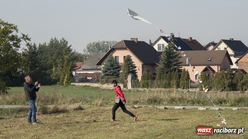 Zdjęcie w galerii na portalu naszraciborz.pl: Pogoda idealna, frekwencja fatalna  wiadomości z regionu