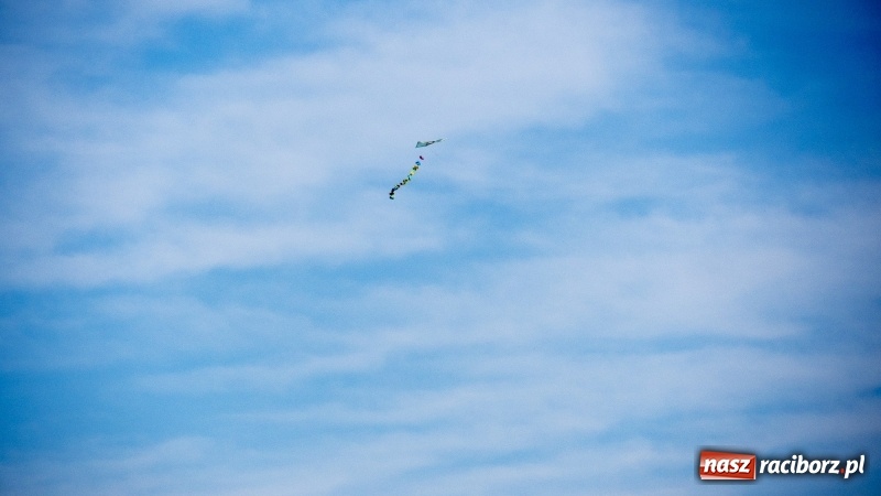 Zdjęcie w galerii na portalu naszraciborz.pl: Pogoda idealna, frekwencja fatalna  wiadomości z regionu