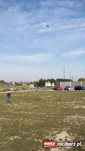 Zdjęcie w galerii na portalu naszraciborz.pl: Pogoda idealna, frekwencja fatalna  wiadomości z regionu