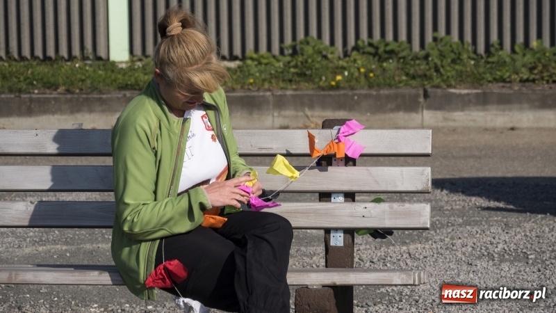 Zdjęcie w galerii na portalu naszraciborz.pl: Pogoda idealna, frekwencja fatalna  wiadomości z regionu