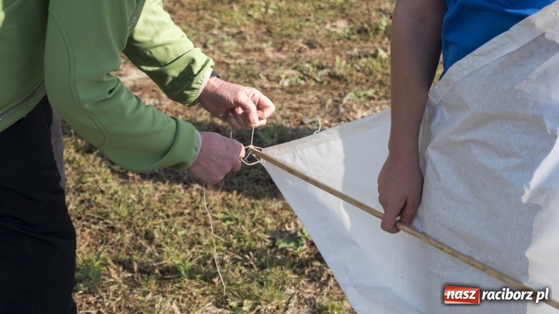 Zdjęcie w galerii na portalu naszraciborz.pl: Pogoda idealna, frekwencja fatalna  wiadomości z regionu