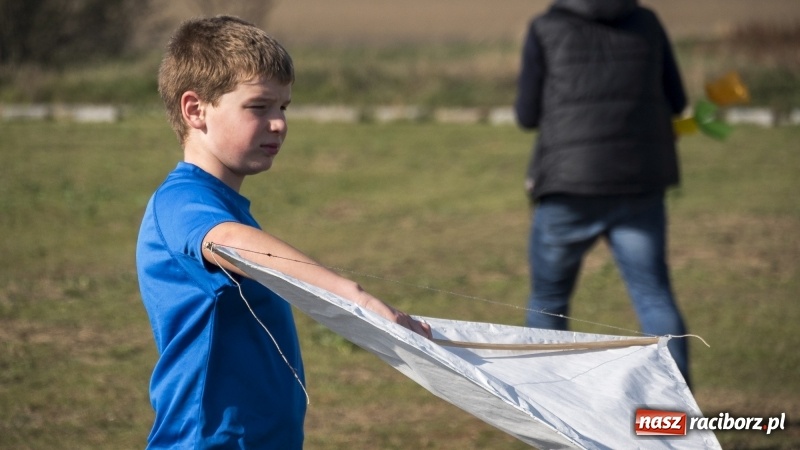 Zdjęcie w galerii na portalu naszraciborz.pl: Pogoda idealna, frekwencja fatalna  wiadomości z regionu