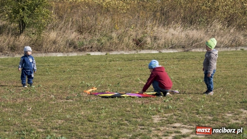 Zdjęcie w galerii na portalu naszraciborz.pl: Pogoda idealna, frekwencja fatalna  wiadomości z regionu