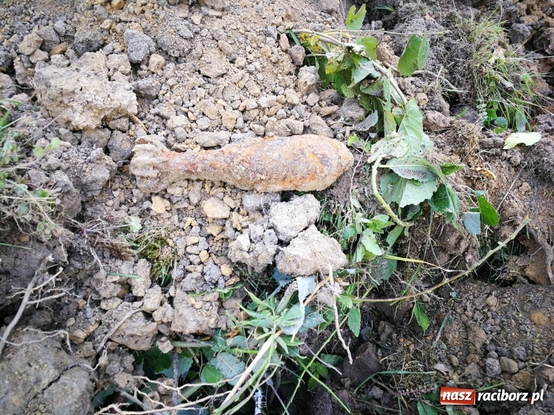 Zdjęcie w galerii na portalu naszraciborz.pl: Czteroosobowej rodzinie nakazano opuścić dom  wiadomości z regionu