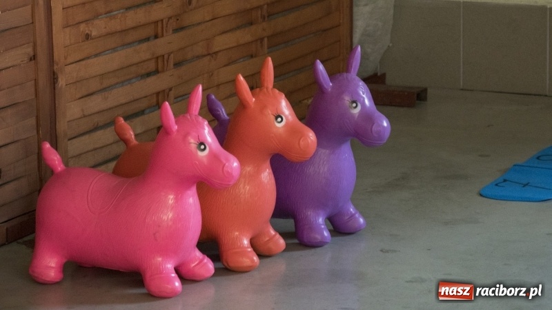 Zdjęcie w galerii na portalu naszraciborz.pl: Mniejszość niemiecka spotkała się w Pietrowicach Wielkich  wiadomości z regionu