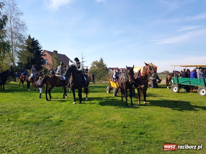 Zdjęcie w galerii na portalu naszraciborz.pl: Piękna pogoda, malownicze krajobrazy i pogoń za lisem – Hubertus w Kornowacu FOTO i WIDEO wiadomości z regionu