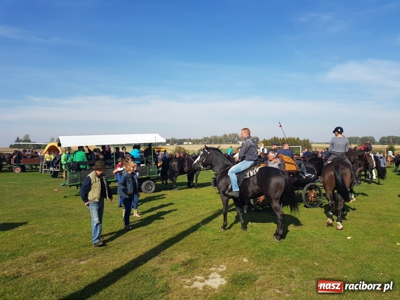 Zdjęcie w galerii na portalu naszraciborz.pl: Piękna pogoda, malownicze krajobrazy i pogoń za lisem – Hubertus w Kornowacu FOTO i WIDEO wiadomości z regionu