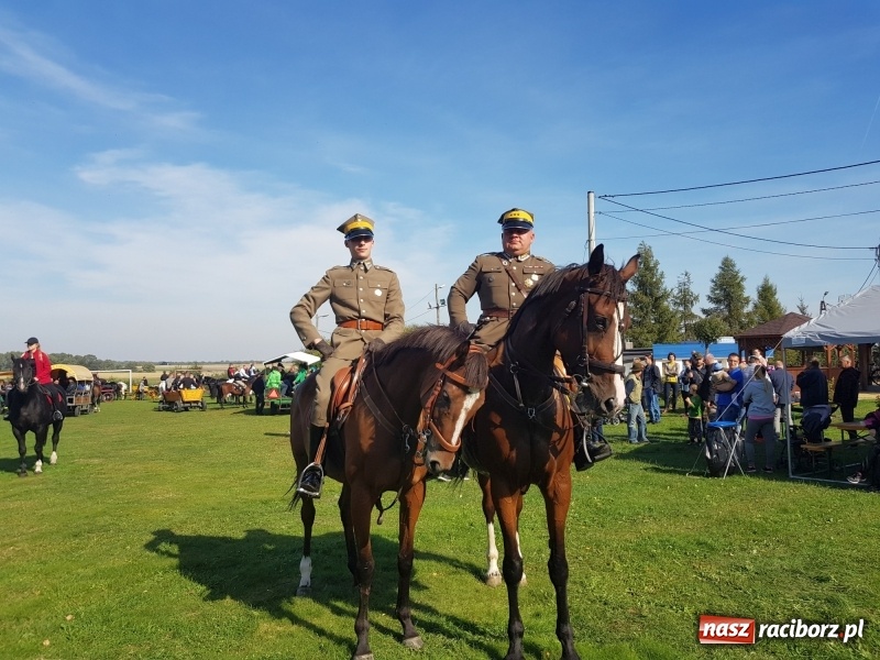 Zdjęcie w galerii na portalu naszraciborz.pl: Piękna pogoda, malownicze krajobrazy i pogoń za lisem – Hubertus w Kornowacu FOTO i WIDEO wiadomości z regionu