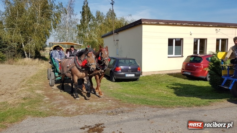 Zdjęcie w galerii na portalu naszraciborz.pl: Piękna pogoda, malownicze krajobrazy i pogoń za lisem – Hubertus w Kornowacu FOTO i WIDEO wiadomości z regionu