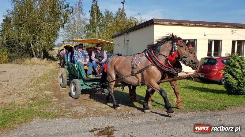Zdjęcie w galerii na portalu naszraciborz.pl: Piękna pogoda, malownicze krajobrazy i pogoń za lisem – Hubertus w Kornowacu FOTO i WIDEO wiadomości z regionu