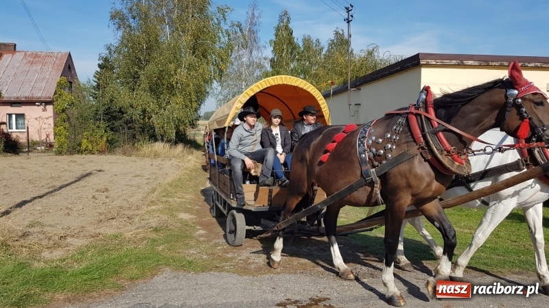 Zdjęcie w galerii na portalu naszraciborz.pl: Piękna pogoda, malownicze krajobrazy i pogoń za lisem – Hubertus w Kornowacu FOTO i WIDEO wiadomości z regionu