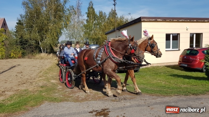 Zdjęcie w galerii na portalu naszraciborz.pl: Piękna pogoda, malownicze krajobrazy i pogoń za lisem – Hubertus w Kornowacu FOTO i WIDEO wiadomości z regionu