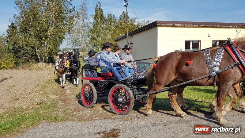 Zdjęcie w galerii na portalu naszraciborz.pl: Piękna pogoda, malownicze krajobrazy i pogoń za lisem – Hubertus w Kornowacu FOTO i WIDEO wiadomości z regionu