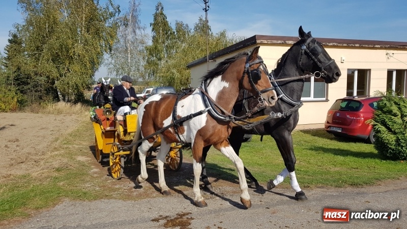 Zdjęcie w galerii na portalu naszraciborz.pl: Piękna pogoda, malownicze krajobrazy i pogoń za lisem – Hubertus w Kornowacu FOTO i WIDEO wiadomości z regionu