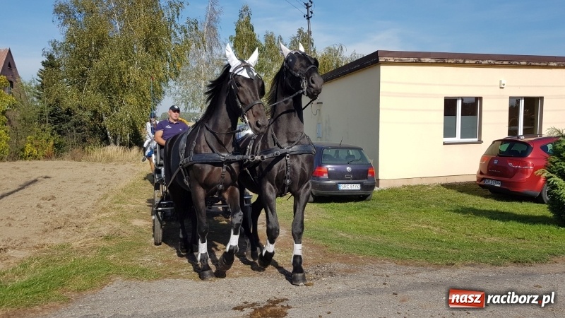 Zdjęcie w galerii na portalu naszraciborz.pl: Piękna pogoda, malownicze krajobrazy i pogoń za lisem – Hubertus w Kornowacu FOTO i WIDEO wiadomości z regionu