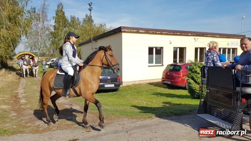 Zdjęcie w galerii na portalu naszraciborz.pl: Piękna pogoda, malownicze krajobrazy i pogoń za lisem – Hubertus w Kornowacu FOTO i WIDEO wiadomości z regionu