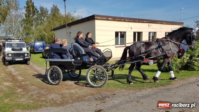 Zdjęcie w galerii na portalu naszraciborz.pl: Piękna pogoda, malownicze krajobrazy i pogoń za lisem – Hubertus w Kornowacu FOTO i WIDEO wiadomości z regionu