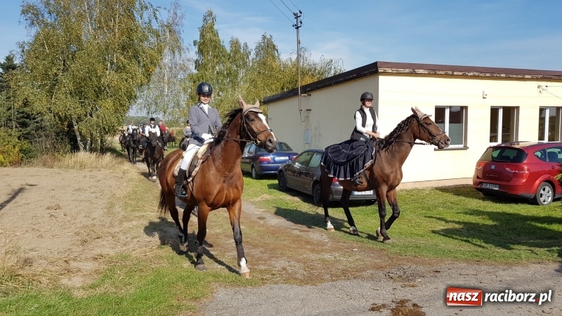 Zdjęcie w galerii na portalu naszraciborz.pl: Piękna pogoda, malownicze krajobrazy i pogoń za lisem – Hubertus w Kornowacu FOTO i WIDEO wiadomości z regionu
