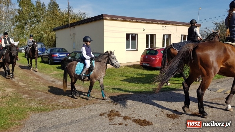 Zdjęcie w galerii na portalu naszraciborz.pl: Piękna pogoda, malownicze krajobrazy i pogoń za lisem – Hubertus w Kornowacu FOTO i WIDEO wiadomości z regionu