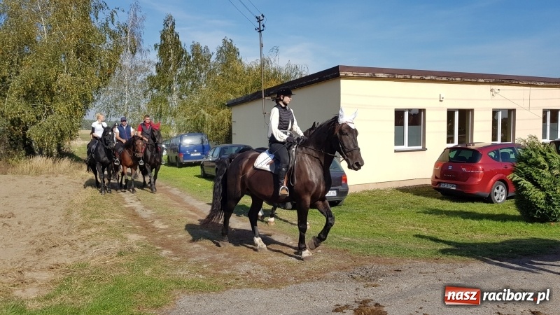 Zdjęcie w galerii na portalu naszraciborz.pl: Piękna pogoda, malownicze krajobrazy i pogoń za lisem – Hubertus w Kornowacu FOTO i WIDEO wiadomości z regionu
