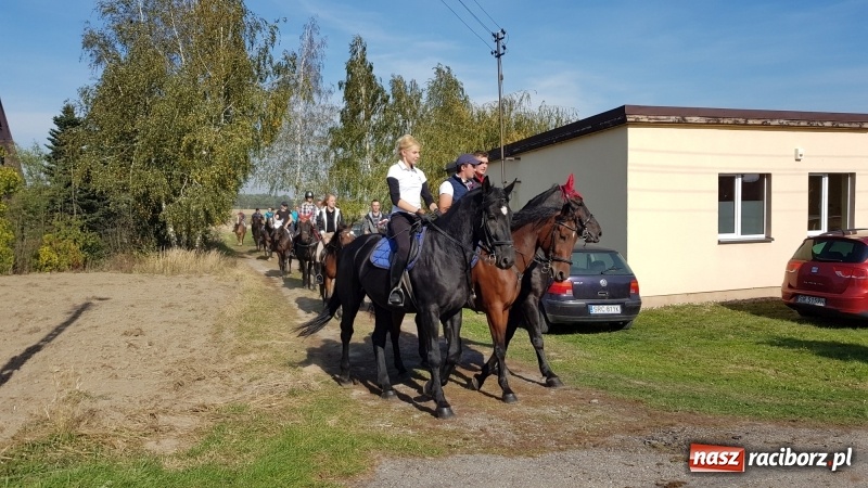 Zdjęcie w galerii na portalu naszraciborz.pl: Piękna pogoda, malownicze krajobrazy i pogoń za lisem – Hubertus w Kornowacu FOTO i WIDEO wiadomości z regionu