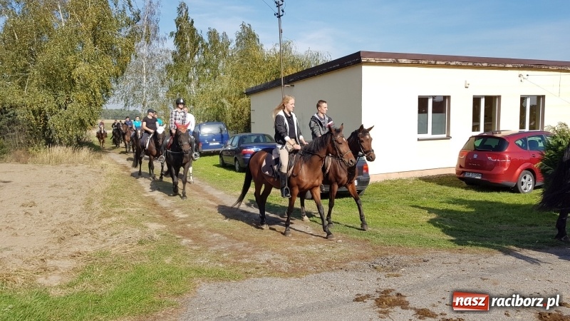 Zdjęcie w galerii na portalu naszraciborz.pl: Piękna pogoda, malownicze krajobrazy i pogoń za lisem – Hubertus w Kornowacu FOTO i WIDEO wiadomości z regionu