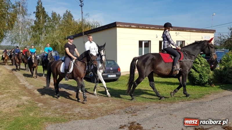 Zdjęcie w galerii na portalu naszraciborz.pl: Piękna pogoda, malownicze krajobrazy i pogoń za lisem – Hubertus w Kornowacu FOTO i WIDEO wiadomości z regionu