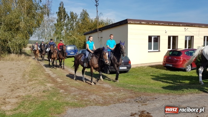 Zdjęcie w galerii na portalu naszraciborz.pl: Piękna pogoda, malownicze krajobrazy i pogoń za lisem – Hubertus w Kornowacu FOTO i WIDEO wiadomości z regionu