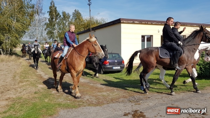 Zdjęcie w galerii na portalu naszraciborz.pl: Piękna pogoda, malownicze krajobrazy i pogoń za lisem – Hubertus w Kornowacu FOTO i WIDEO wiadomości z regionu