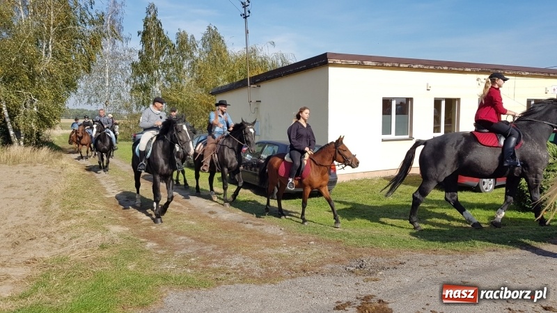 Zdjęcie w galerii na portalu naszraciborz.pl: Piękna pogoda, malownicze krajobrazy i pogoń za lisem – Hubertus w Kornowacu FOTO i WIDEO wiadomości z regionu