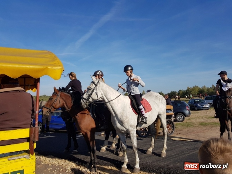 Zdjęcie w galerii na portalu naszraciborz.pl: Piękna pogoda, malownicze krajobrazy i pogoń za lisem – Hubertus w Kornowacu FOTO i WIDEO wiadomości z regionu