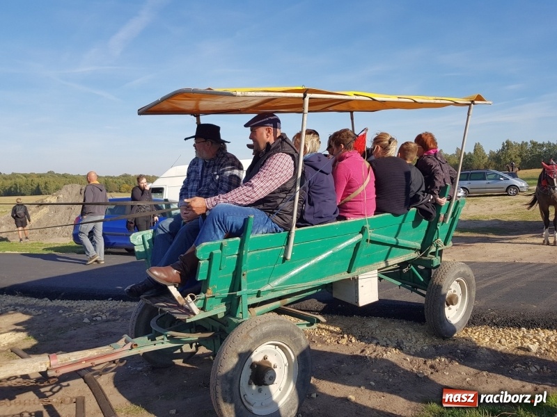 Zdjęcie w galerii na portalu naszraciborz.pl: Piękna pogoda, malownicze krajobrazy i pogoń za lisem – Hubertus w Kornowacu FOTO i WIDEO wiadomości z regionu