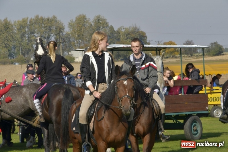 Zdjęcie w galerii na portalu naszraciborz.pl: Piękna pogoda, malownicze krajobrazy i pogoń za lisem – Hubertus w Kornowacu FOTO i WIDEO wiadomości z regionu