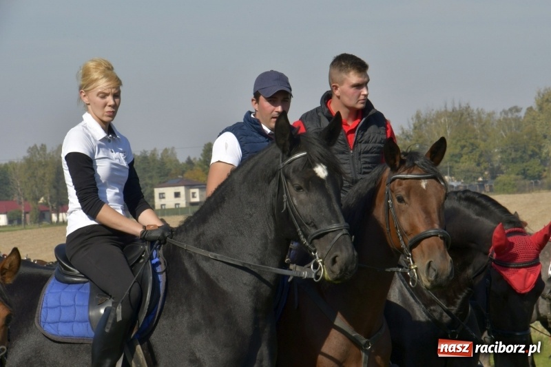 Zdjęcie w galerii na portalu naszraciborz.pl: Piękna pogoda, malownicze krajobrazy i pogoń za lisem – Hubertus w Kornowacu FOTO i WIDEO wiadomości z regionu
