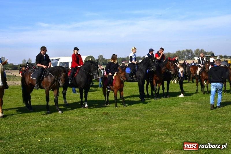 Zdjęcie w galerii na portalu naszraciborz.pl: Piękna pogoda, malownicze krajobrazy i pogoń za lisem – Hubertus w Kornowacu FOTO i WIDEO wiadomości z regionu