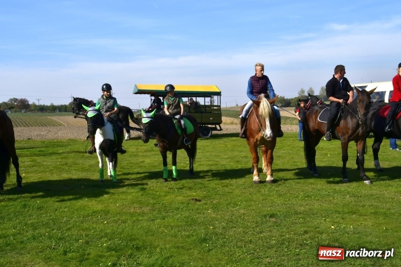 Zdjęcie w galerii na portalu naszraciborz.pl: Piękna pogoda, malownicze krajobrazy i pogoń za lisem – Hubertus w Kornowacu FOTO i WIDEO wiadomości z regionu
