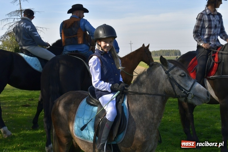 Zdjęcie w galerii na portalu naszraciborz.pl: Piękna pogoda, malownicze krajobrazy i pogoń za lisem – Hubertus w Kornowacu FOTO i WIDEO wiadomości z regionu
