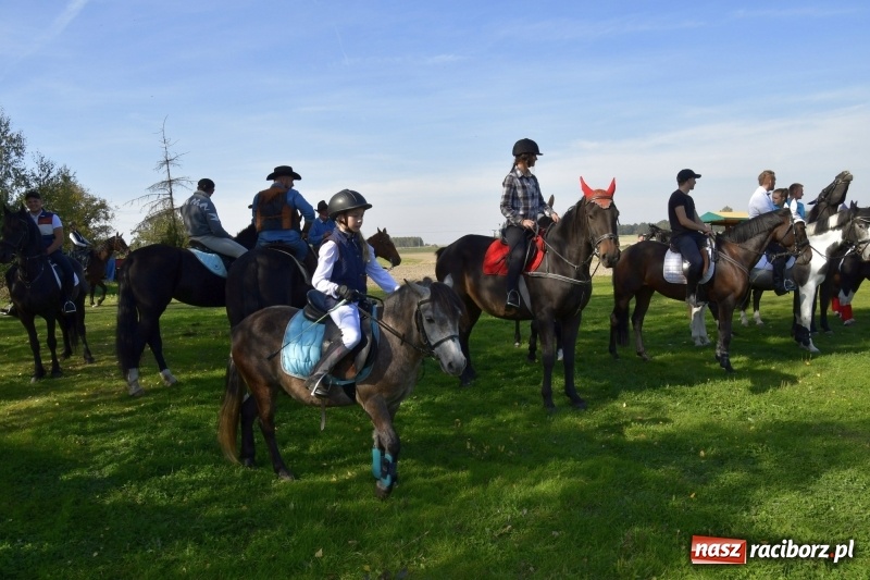Zdjęcie w galerii na portalu naszraciborz.pl: Piękna pogoda, malownicze krajobrazy i pogoń za lisem – Hubertus w Kornowacu FOTO i WIDEO wiadomości z regionu