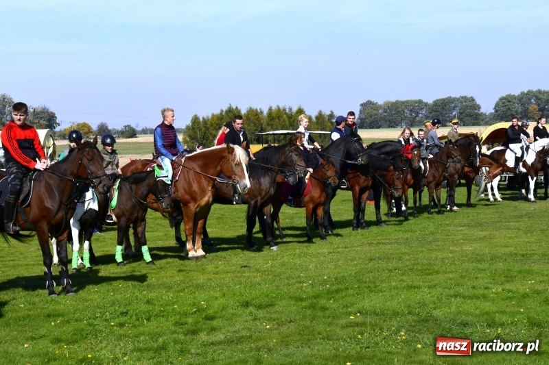 Zdjęcie w galerii na portalu naszraciborz.pl: Piękna pogoda, malownicze krajobrazy i pogoń za lisem – Hubertus w Kornowacu FOTO i WIDEO wiadomości z regionu