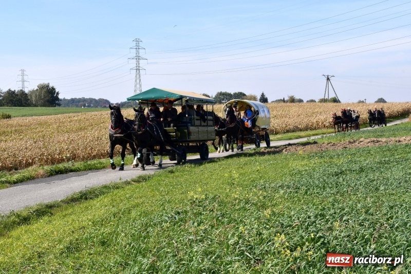 Zdjęcie w galerii na portalu naszraciborz.pl: Piękna pogoda, malownicze krajobrazy i pogoń za lisem – Hubertus w Kornowacu FOTO i WIDEO wiadomości z regionu