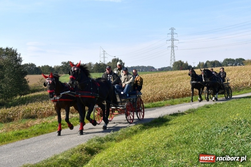 Zdjęcie w galerii na portalu naszraciborz.pl: Piękna pogoda, malownicze krajobrazy i pogoń za lisem – Hubertus w Kornowacu FOTO i WIDEO wiadomości z regionu