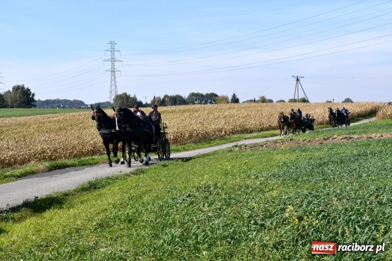 Zdjęcie w galerii na portalu naszraciborz.pl: Piękna pogoda, malownicze krajobrazy i pogoń za lisem – Hubertus w Kornowacu FOTO i WIDEO wiadomości z regionu