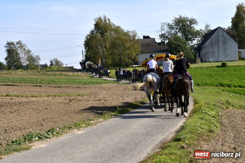 Zdjęcie w galerii na portalu naszraciborz.pl: Piękna pogoda, malownicze krajobrazy i pogoń za lisem – Hubertus w Kornowacu FOTO i WIDEO wiadomości z regionu