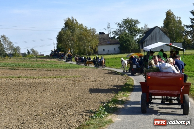 Zdjęcie w galerii na portalu naszraciborz.pl: Piękna pogoda, malownicze krajobrazy i pogoń za lisem – Hubertus w Kornowacu FOTO i WIDEO wiadomości z regionu