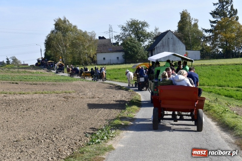 Zdjęcie w galerii na portalu naszraciborz.pl: Piękna pogoda, malownicze krajobrazy i pogoń za lisem – Hubertus w Kornowacu FOTO i WIDEO wiadomości z regionu
