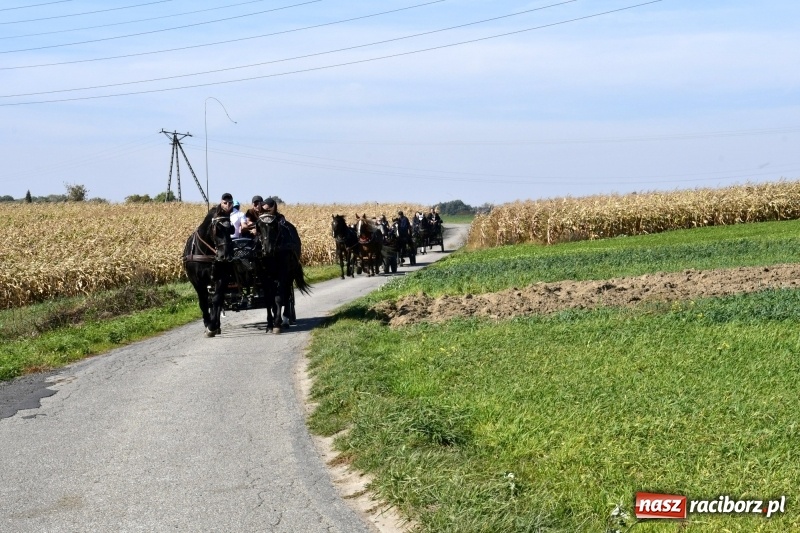 Zdjęcie w galerii na portalu naszraciborz.pl: Piękna pogoda, malownicze krajobrazy i pogoń za lisem – Hubertus w Kornowacu FOTO i WIDEO wiadomości z regionu