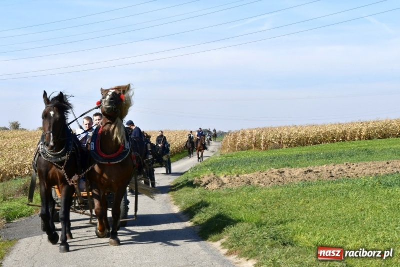 Zdjęcie w galerii na portalu naszraciborz.pl: Piękna pogoda, malownicze krajobrazy i pogoń za lisem – Hubertus w Kornowacu FOTO i WIDEO wiadomości z regionu